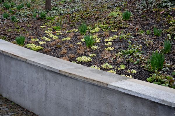 Concrete Wall Construction in Rockville