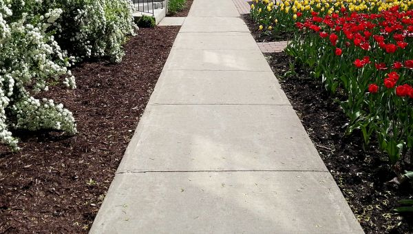 Cement Sidewalk Installation in Rockville