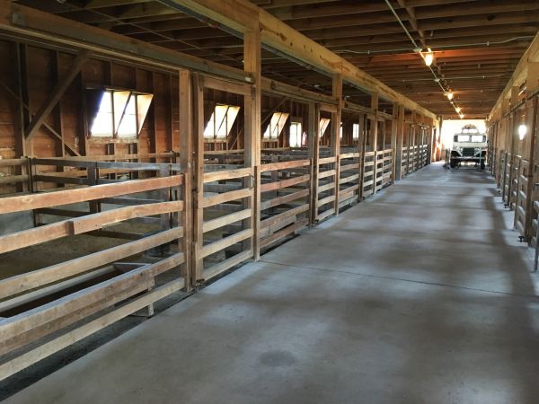 Barn Slab Construction in Rockville