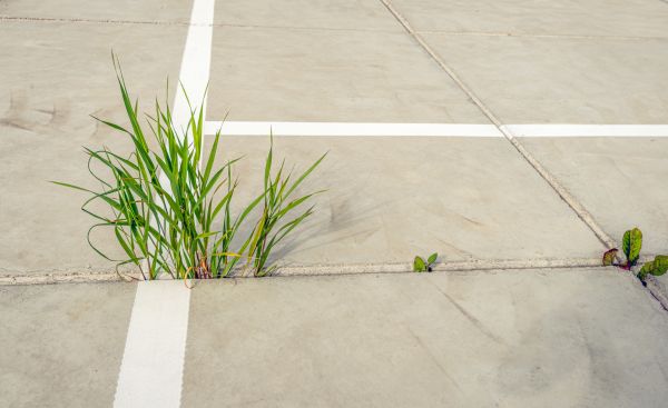 Cost of Concrete Parking Installation in Rockville