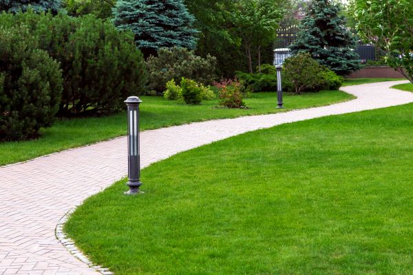 Backyard Sidewalk Installation in Rockville