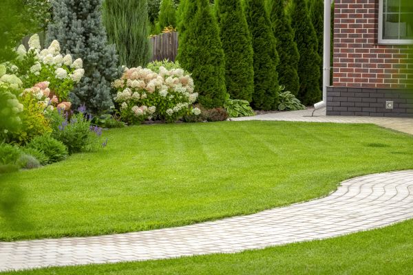 Landscape Walkway Installation in Rockville